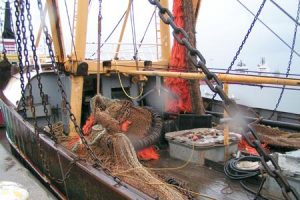 Danske fiskere mistænker hollændere for snyd. Foto Ole C