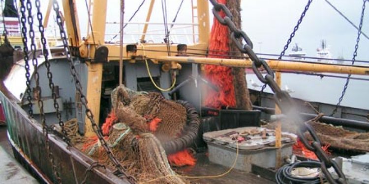 Danske fiskere mistænker hollændere for snyd. Foto Ole C