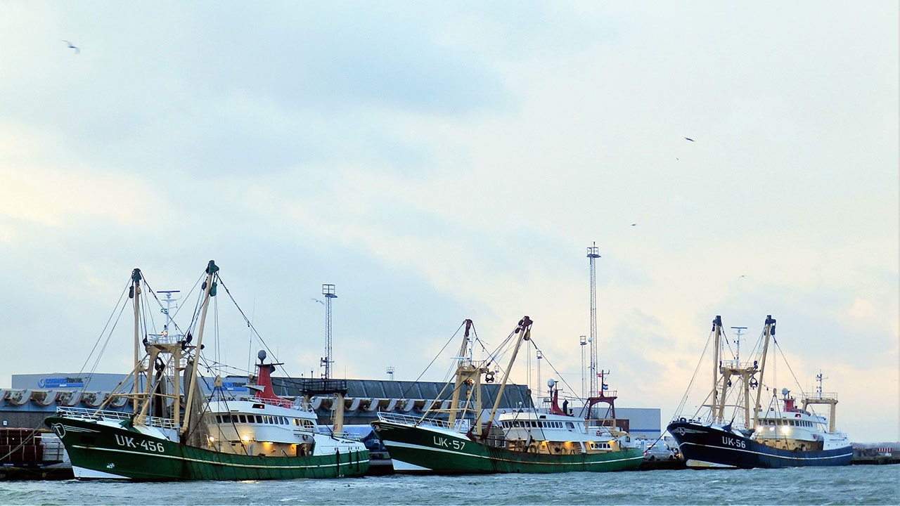 Read more about the article Nordjyske kystfiskere besatte udenrigsministeriet