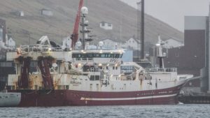 I Fuglefjord landede trawleren **Borgarin** landede i ugen en last på 2.100 tons blåhvilling til Havsbrún. foto: Kiran J 