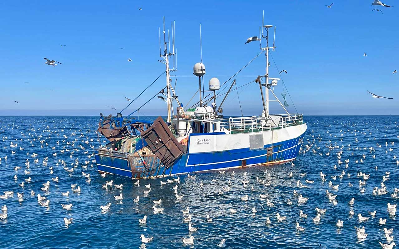 Read more about the article 840 mio. kroner på vej i brexit-hjælp til danske fiskere