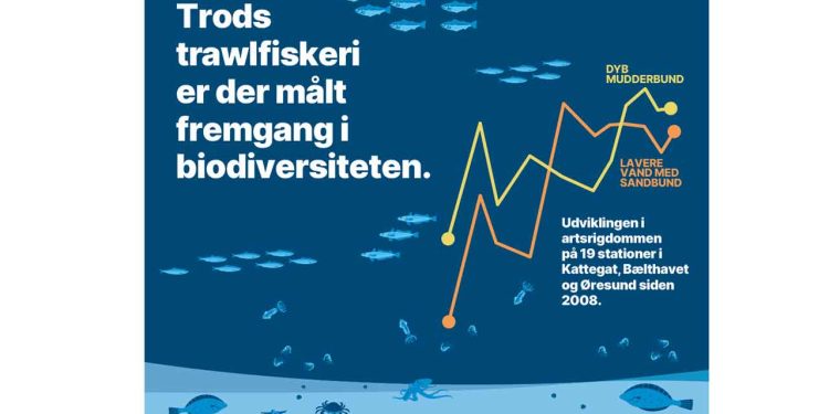 bundtrawl mere biodiversitet - dfpo