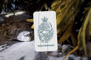 Forbrugermærket »NaturSkånsom« fanget i eget garn når de sælger torsk fra Østersøen