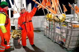 Mens mange pynter til jul, er forskere fra Havforskningsinstituttet (HI) i Finnmark travlt optaget af at sikre, at torsken kan sende »julehilsner« igen til næste år. foto: Hi.no