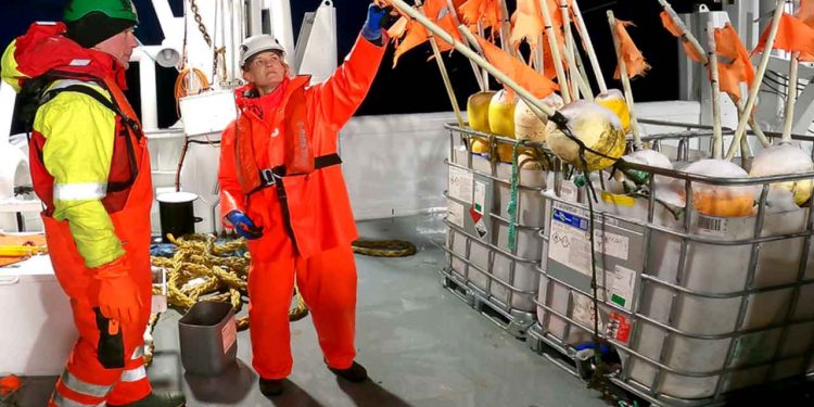 Mens mange pynter til jul, er forskere fra Havforskningsinstituttet (HI) i Finnmark travlt optaget af at sikre, at torsken kan sende »julehilsner« igen til næste år. foto: Hi.no