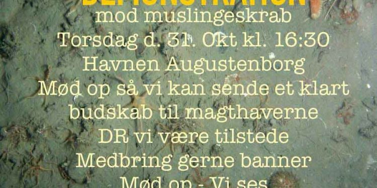 HO 6 Thyra, der er en mindre muslingeskraber er pludselig blevet ufrivilligt midtpunkt i en demonstration mod muslingeskrab der vil foregår på havnen i Augustenborg torsdag eftermiddag den 31. oktober kl 16.30. foto: Valkyrie sportsfiskerforening