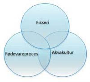 DFEG udvikler ny strategi og udvidere med to nye fokusområder.  Illustration: DFEG