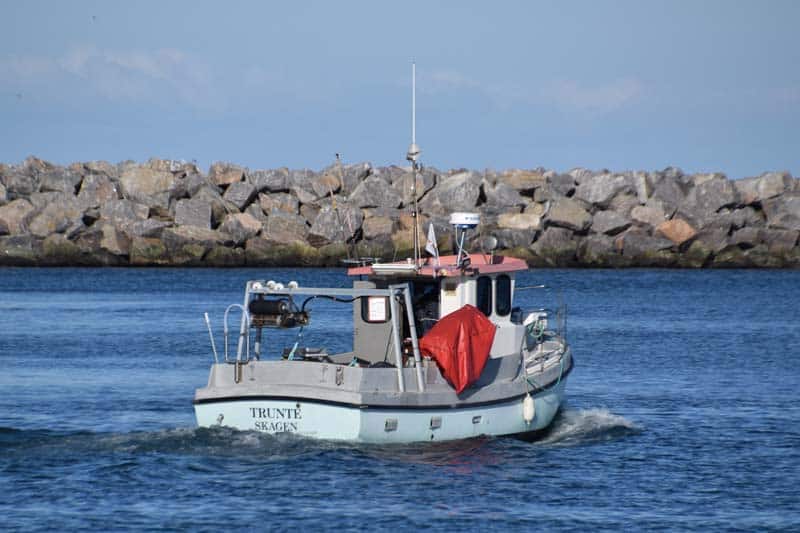 Read more about the article Forsikringsselskaber lægger sig sammen til gavn for danske fiskere