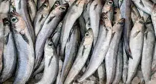 Read more about the article Færøerne forventer at lande russisk fiskeriaftale på fredag