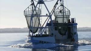 Høringssvar - FiskerForum.dk