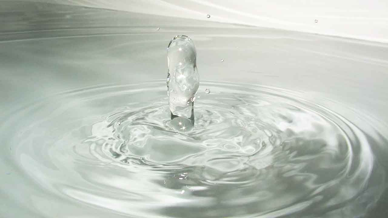 Read more about the article Sprøjtemidler med PFAS-aktivstoffer bliver forbudt