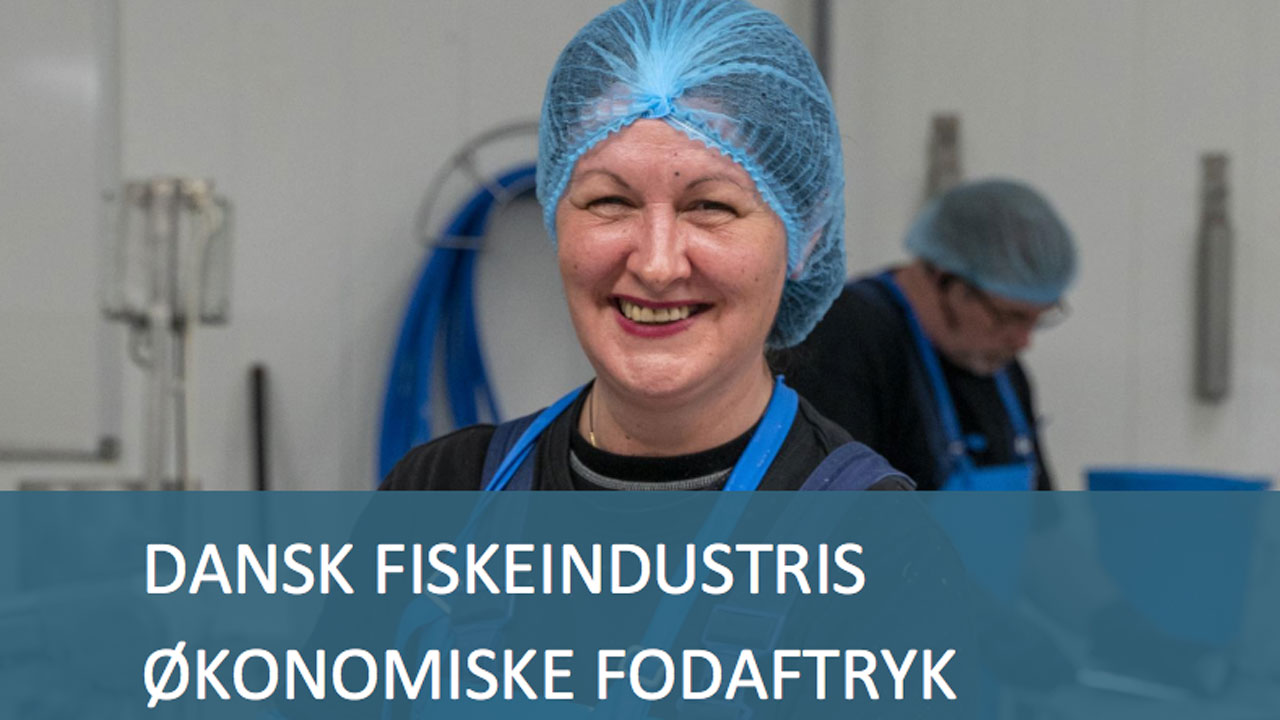 Read more about the article Ny rapport: Dansk Fiskeindustris økonomiske fodaftryk