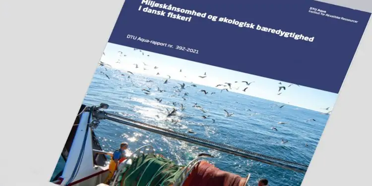 Read more about the article Dansk Fiskeri skal være endnu mere bæredygtigt