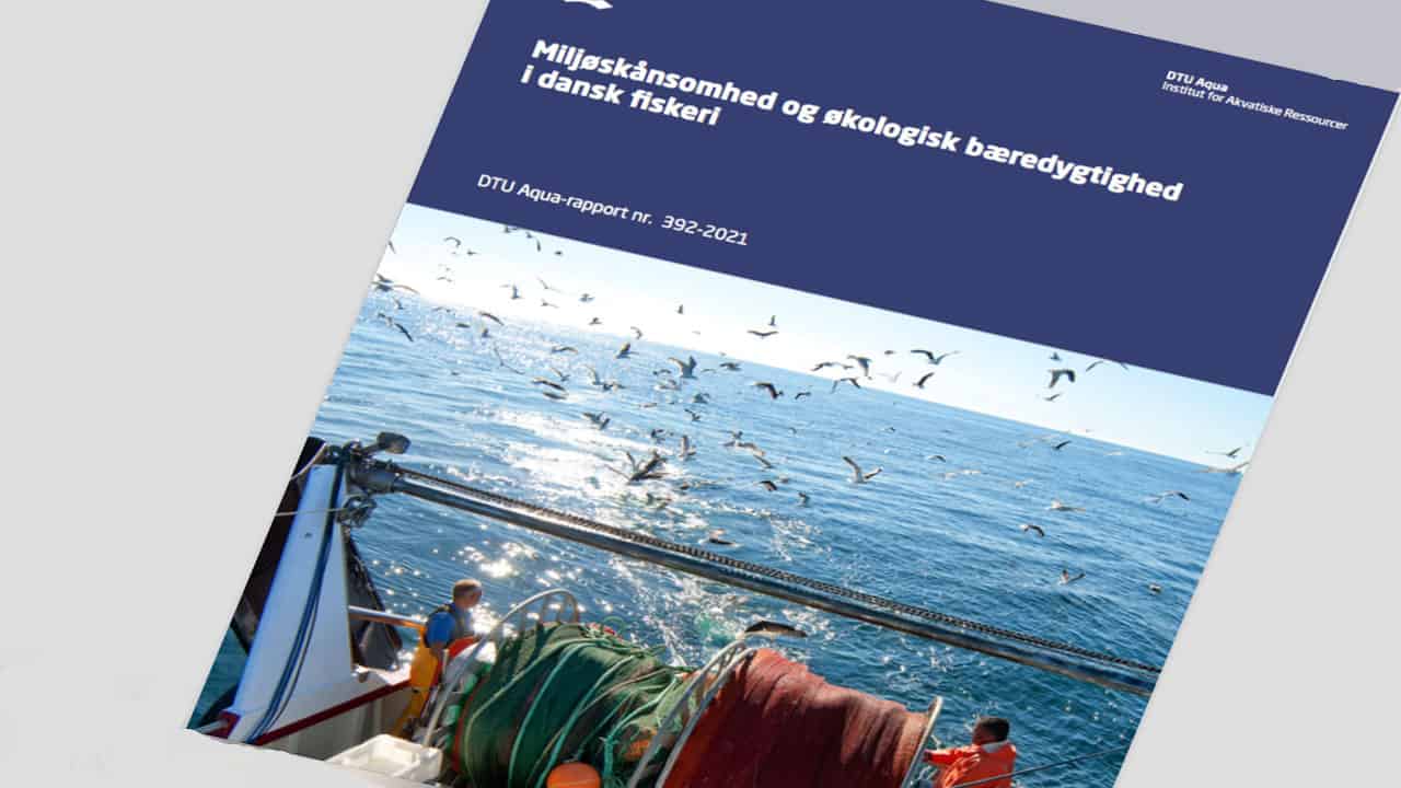 Read more about the article Rapport: Miljøskånsomhed og økologisk bæredygtighed i dansk fiskeri