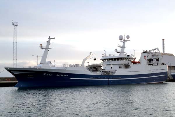 Read more about the article Nybygning E349 Cattleya, pelagisk trawler