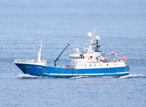 Færøerne: Havnene på Streymoy modtager fine fangster af rundfisk