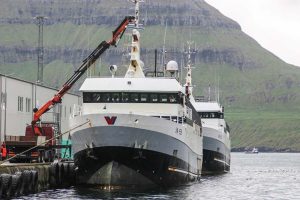 Færøerne: Partrawlerne henter pæne fangster af sej