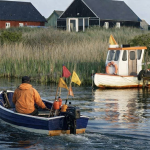 Ringkøbing Fjord har i årevis været genstand for debat om kvælstof, miljøtilstand og belastning fra oplandet. foto: FiskerForum.dk
