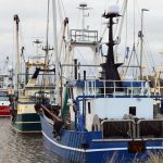 Fiskeriets Arbejdsmiljøtjeneste klar med årsrapporten