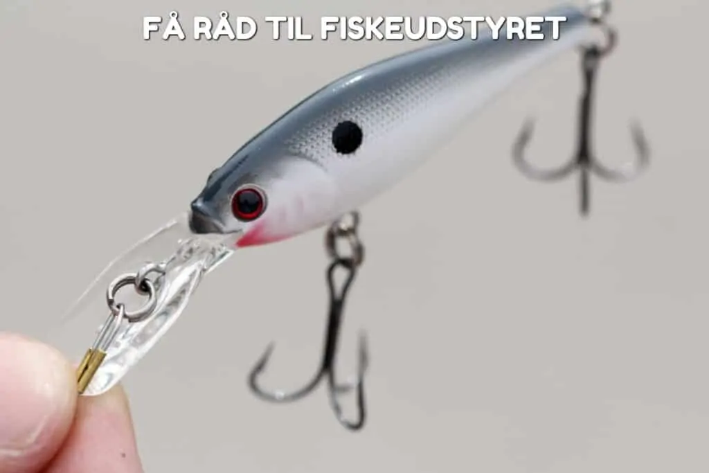 Read more about the article Få råd til fiskeudstyret