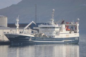I Fuglefjord havde man taget lidt forskud på det lukrative blåhvillinge-fiskeri, da **Fagraberg** i sidste uge landede en fangst på 1.450 tons blåhvilling til Havsbrún foto: Kiran