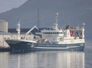 I Fuglefjord havde man taget lidt forskud på det lukrative blåhvillinge-fiskeri, da **Fagraberg** i sidste uge landede en fangst på 1.450 tons blåhvilling til Havsbrún foto: Kiran