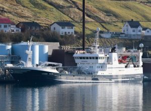  I Fuglefjord har den store trawler **Fagraberg**, i sidste uge landet 2.400 tons blåhvilling foto: kiran J,