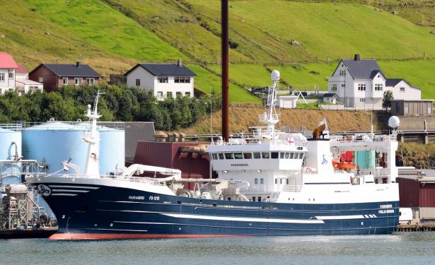 Panter temperatur Watt Færøerne: Der landes blåhvilling fra området vest for Irland - FiskerForum
