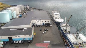 Flere danske fartøjer landede makrel til Pelagos. foto: Pelagos 