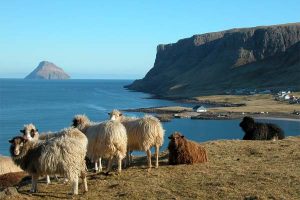 Færøerne fortsætte succes raten.  foto: Færøerne - Wikipedia