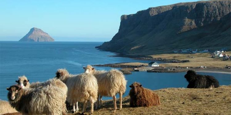 Færøerne fortsætte succes raten.  foto: Færøerne - Wikipedia