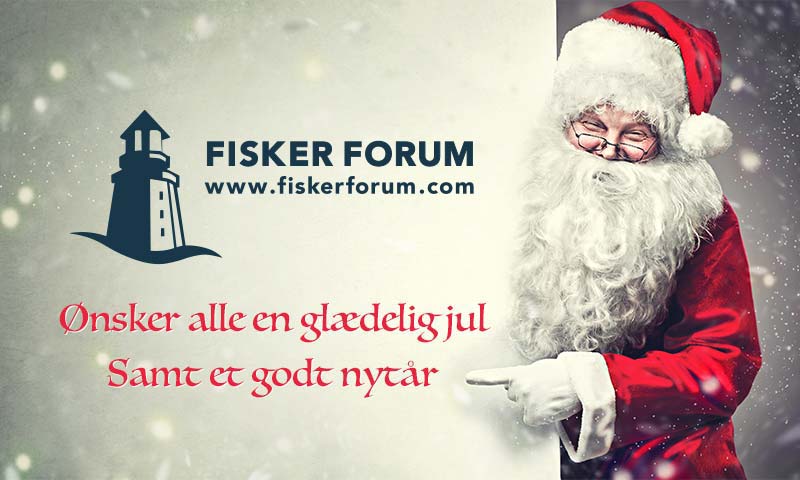 Read more about the article Inden Vi når den grønne jul