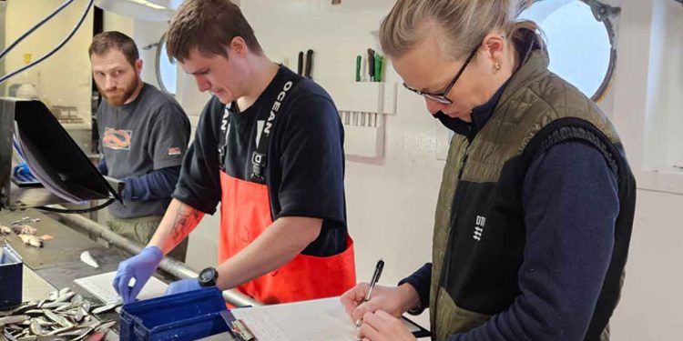 Forståelsen af fiskebestande er afgørende, hvis Europas havressourcer skal forvaltes bæredygtigt. Men i årevis har forskere, der arbejder med bestandsvurdering, manglet en vigtig brik. Nemlig de genetiske data fra fiskebestandene. DANA