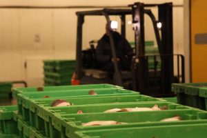 Fiskeindustrien klar til Brexit-fisk. Arkivfoto: Hvide Sande Auktion
