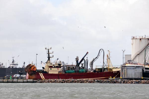 Read more about the article Fødevareministeren roses af fiskemelsbranchen