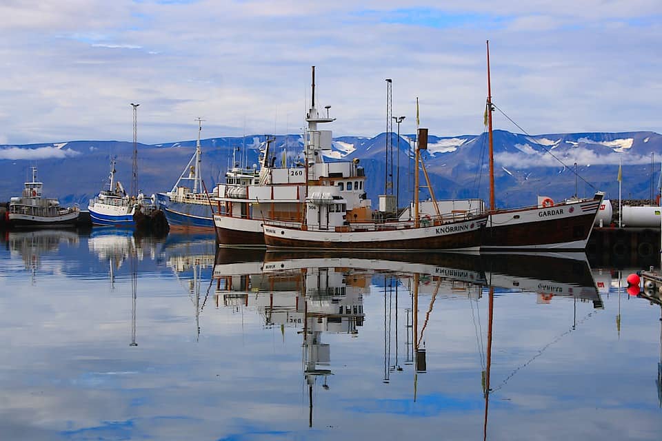 Read more about the article Drømmer du om at blive fisker, så læs med her