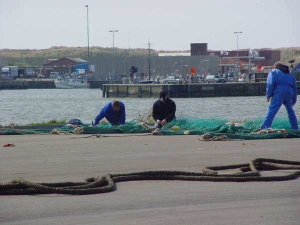 Read more about the article Nettet strammes om ulovligt fiskeri
