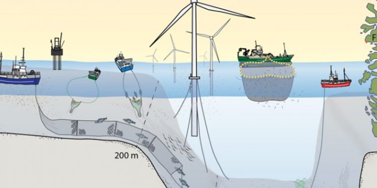 Vi mangler viden om samspillet mellem vindenergi og fiskeriet fotoillustration: HI.no