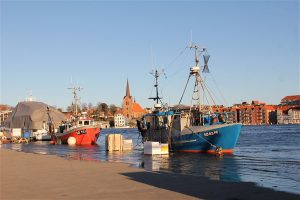 Fiskeriet i de sønderjyske fjorde har en arg modstander i Sønderborgs borgmester. foto: Fiskerikajen - PalleH