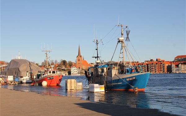 Fiskeriet i de sønderjyske fjorde har en arg modstander i Sønderborgs borgmester. foto: Fiskerikajen - PalleH
