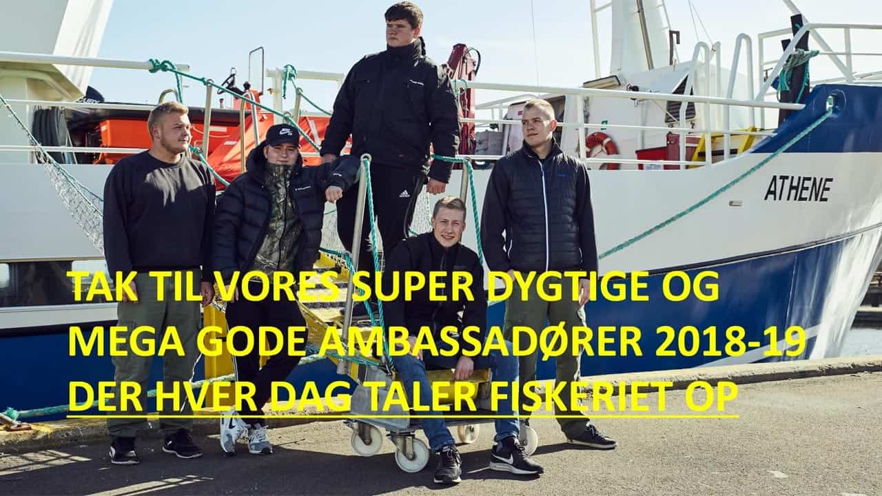 Read more about the article Bliver den unge Zappe-generation gode fiskere ?