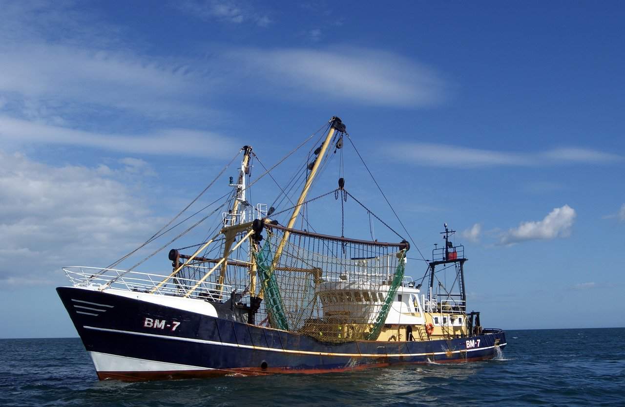 Read more about the article Find det rette fiskeudstyr