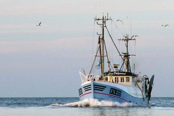 Read more about the article Ugens tobiskvote fisket op på fjerdedagen