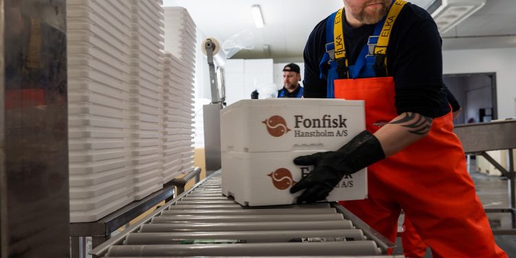 Enkelt løfte fra Fonfisk Hanstholm, har givet et fornuftigt resultat sidste år. foto: Fonfisk