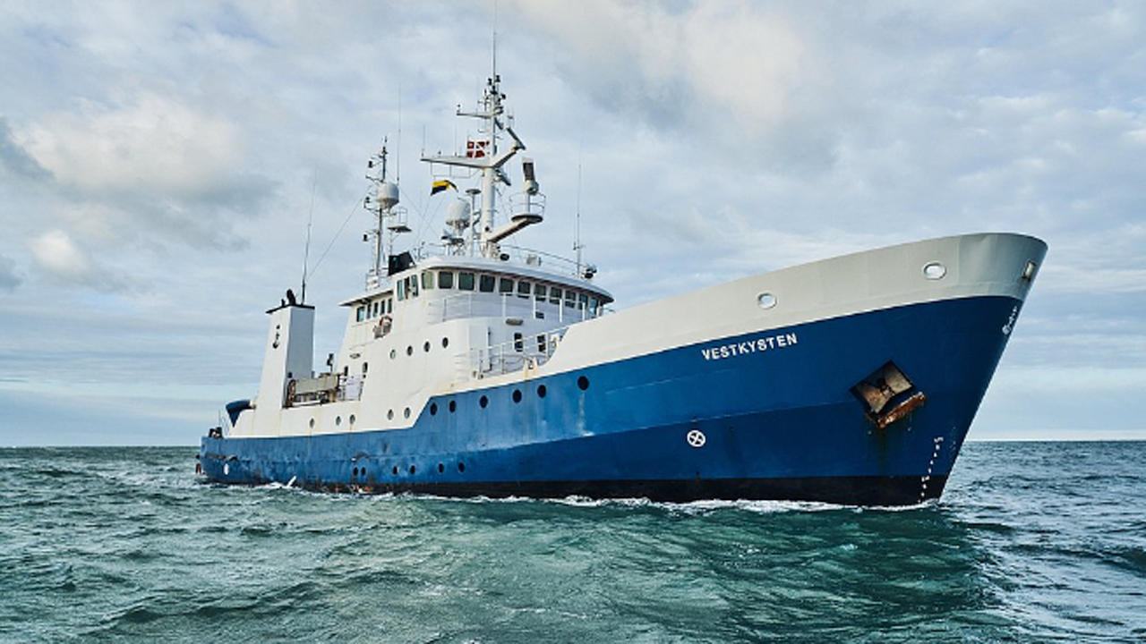 Read more about the article Fiskefartøj søges til at deltage i makrel-trawltogt