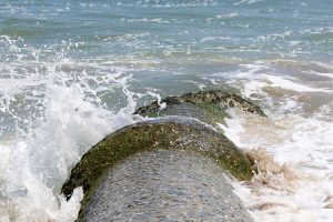 Legal havforurening: Kommuner tillader kæmpe udledning af spildevand i Øresund
