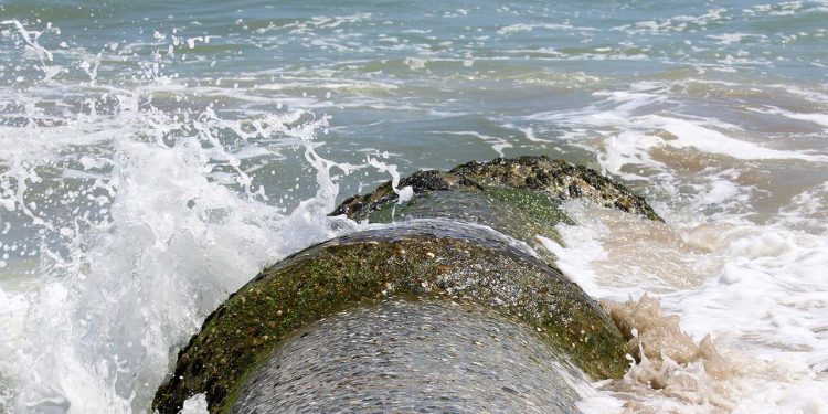 Legal havforurening: Kommuner tillader kæmpe udledning af spildevand i Øresund