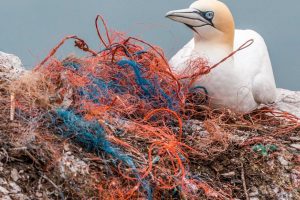Plastikforurening af verdenshavene tages op på FN's miljøforsamling