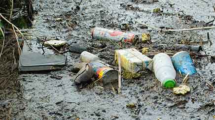 Read more about the article Forurening af vandløb truer fisk og miljø