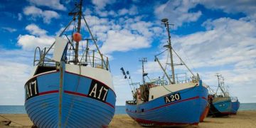 Styrk madkulturen med fisk og skaldyr.  Foto: Madkulturen
